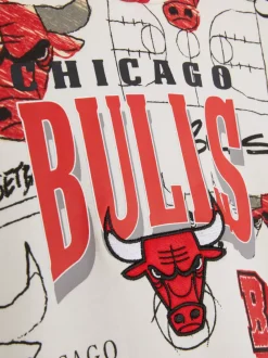 Dzieci Primark Bluzy<Bluza z kapturem NBA Chicago Bulls