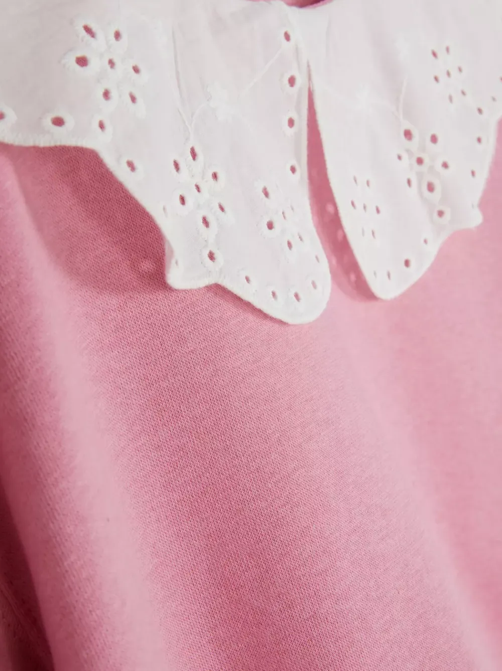 Dzieci Primark Bluzy<Bluza z okrągłym dekoltem i haftowanym kołnierzykiem