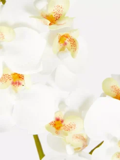 Primark Sztuczne Rośliny I Kwiaty<Kwiatowa kompozycja ze sztucznych orchidei