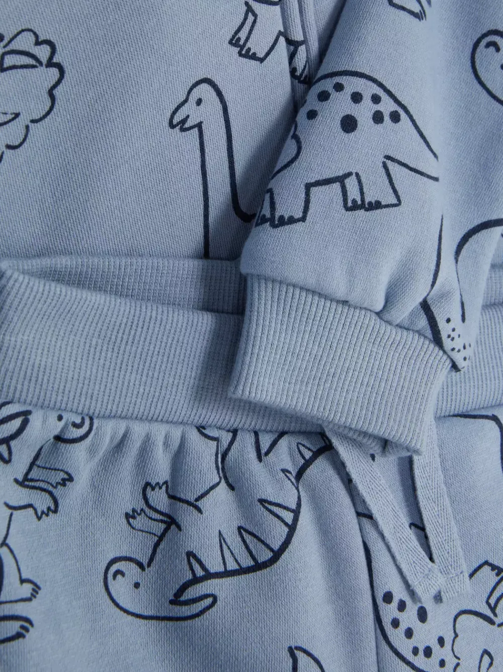 Primark Komplety I Gotowe Stroje<Bluza z kapturem z dinozaurem i joggery, komplet