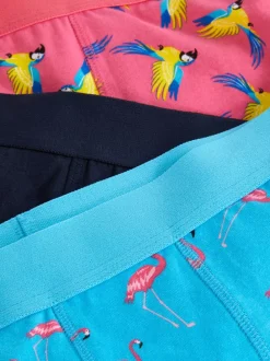 Primark Bielizna<Bokserki z motywem ptaków, 3 pary