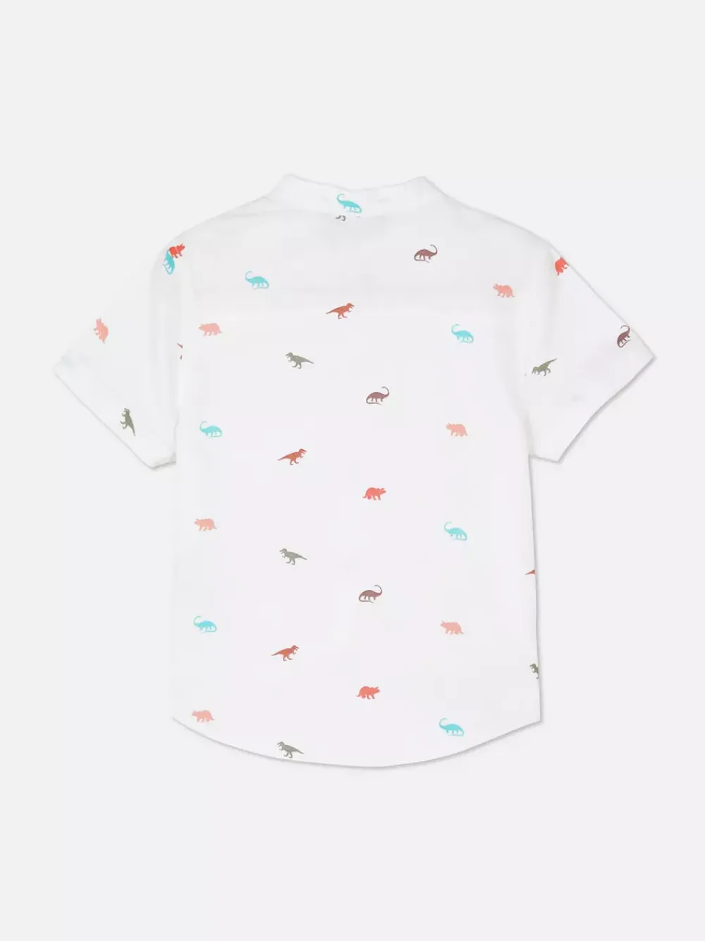 Dzieci Primark Koszule|Topy I T-Shirty<Koszula typu oxford w dinozaury