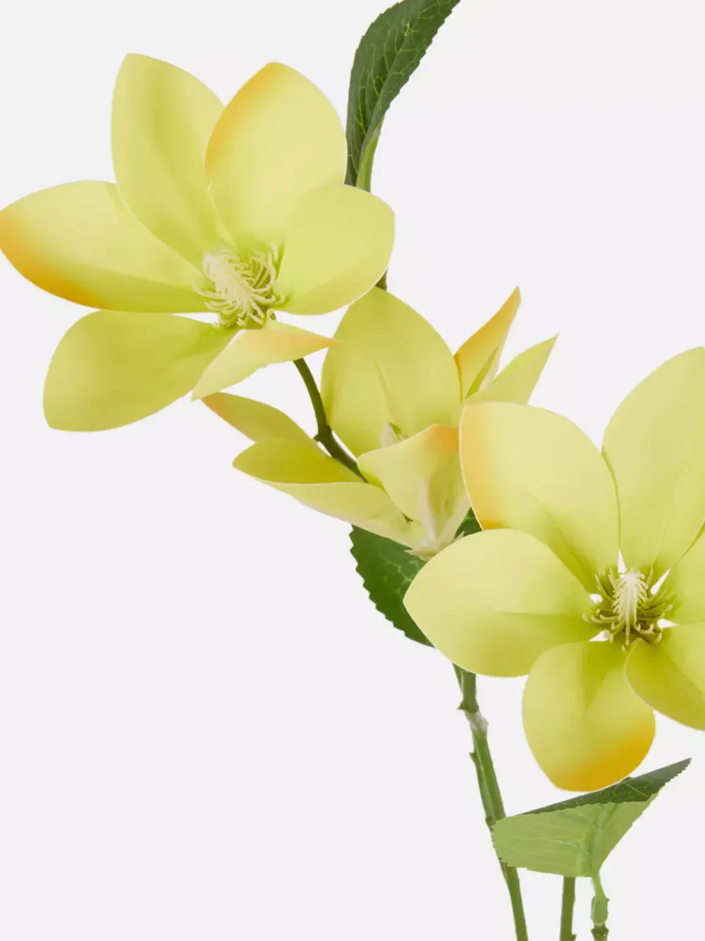 Primark Sztuczne Rośliny I Kwiaty<Sztuczna magnolia na pojedynczej łodydze