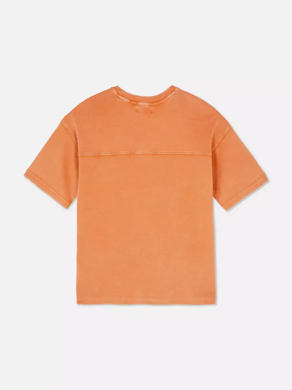Dzieci Primark Topy I T-Shirty<T-shirt z haftem i efektem sprania
