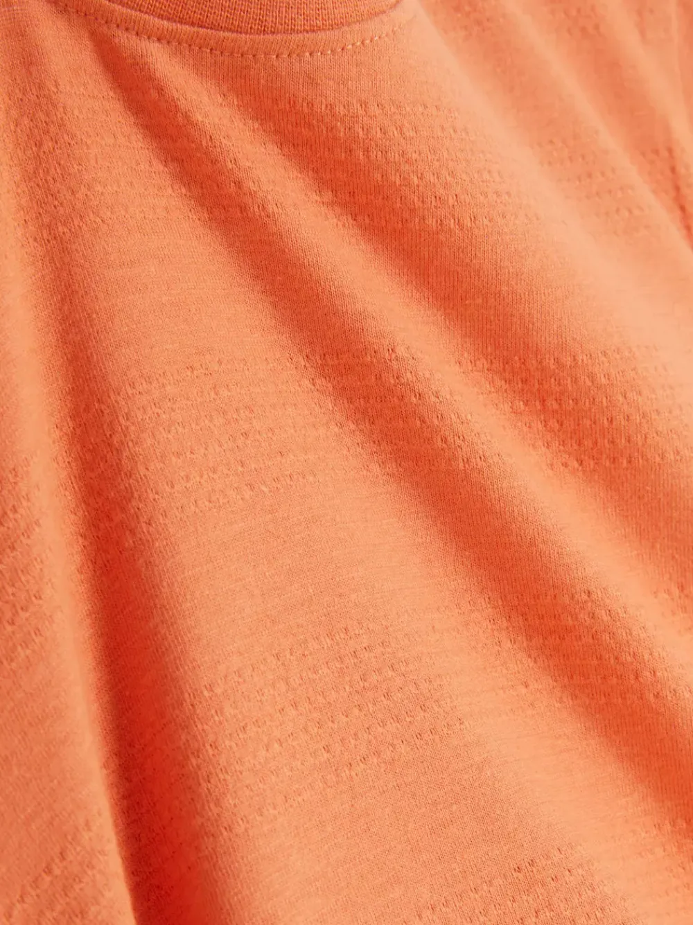 Dzieci Primark Topy I T-Shirty<T-shirt z okrągłym dekoltem i teksturowanym motywem